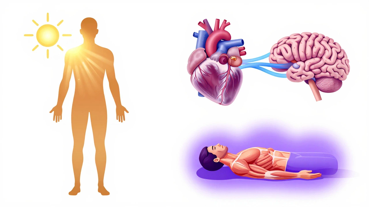 Illustration showing benefits of Vitamin D, Omega-3, and Magnesium